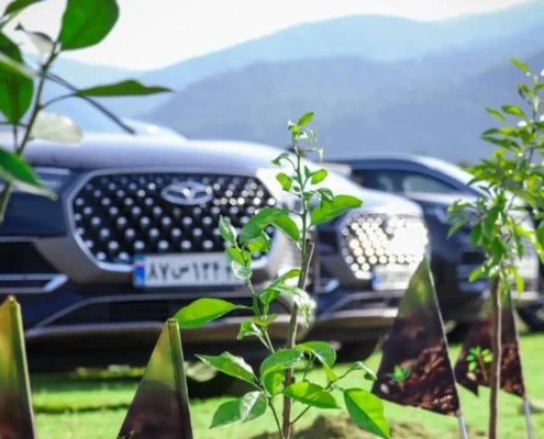 فونیکس NEV