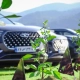 فونیکس NEV